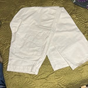 Dickies cargos